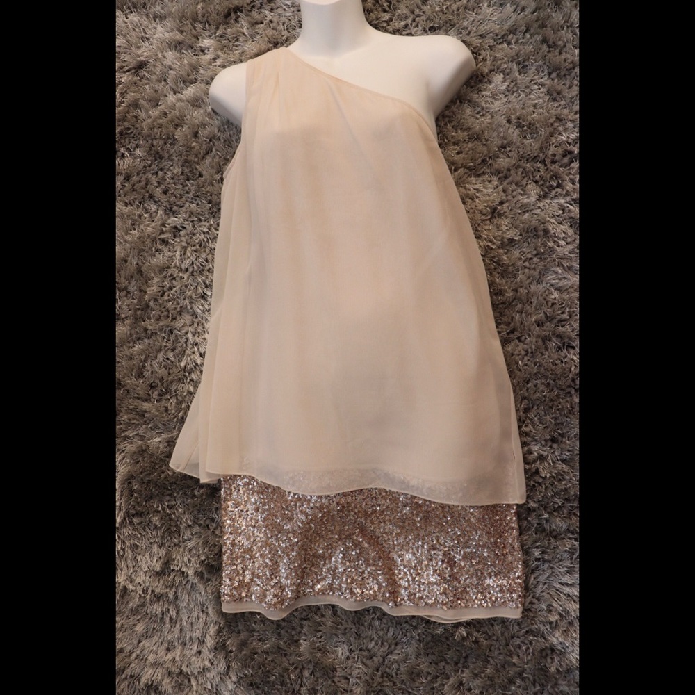 AIDAN MATTOX Champagne Sequin Chiffon Dress